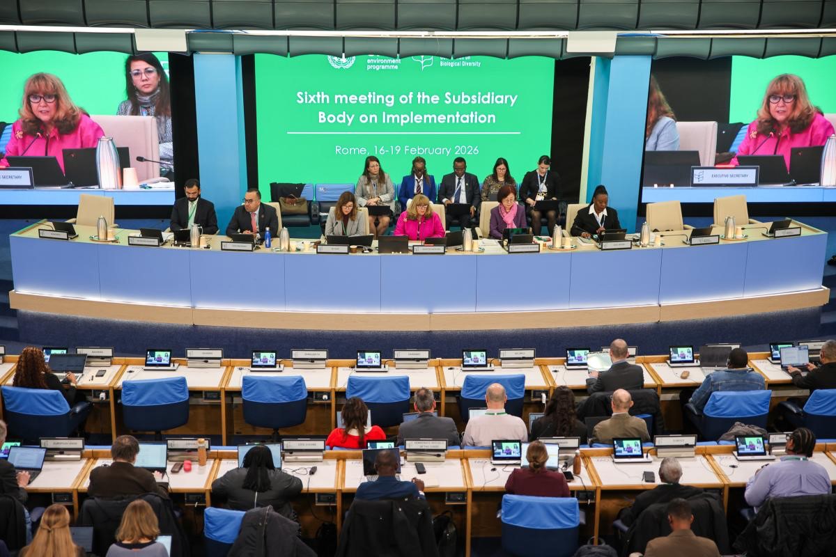 《生物多样性公约》执行附属机构第六次会议1.jpg