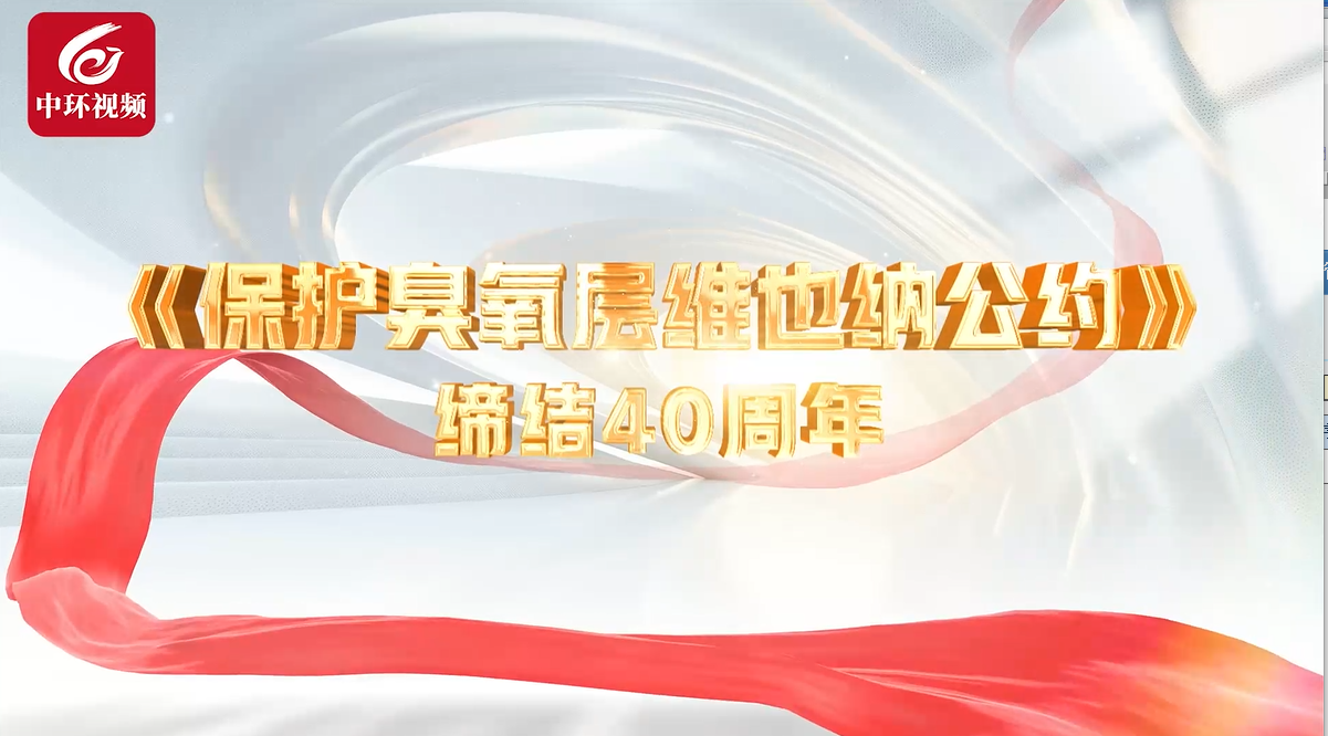 从履约到引领图片.png